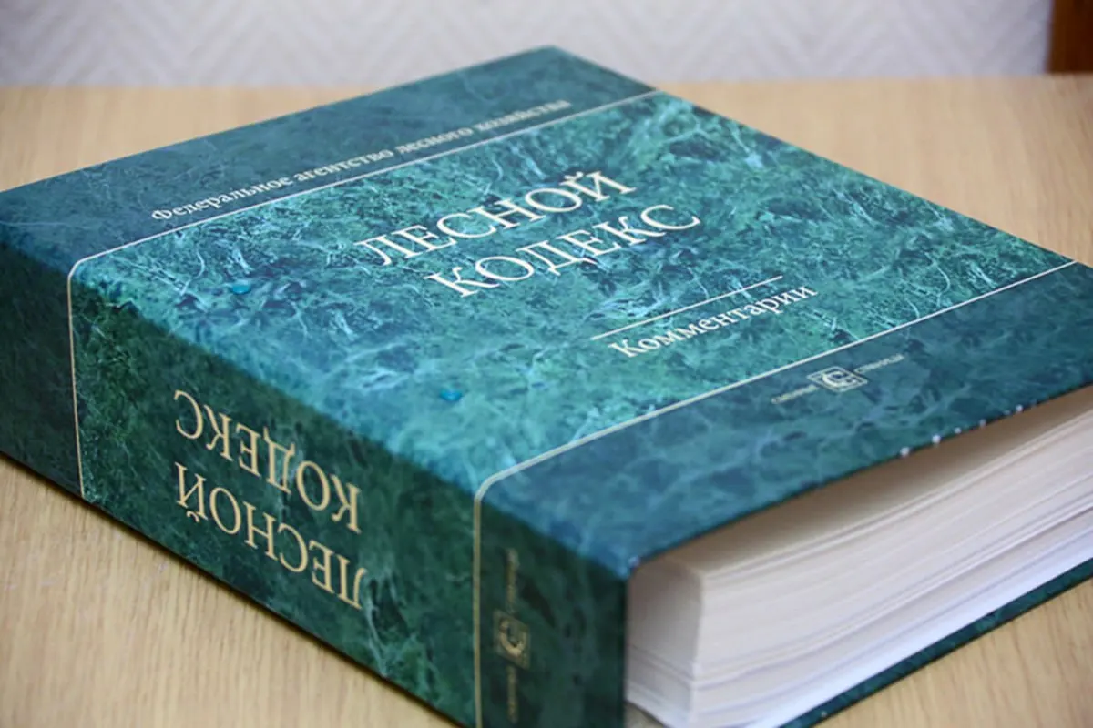 Эксперт по лесному хозяйству отмечает, что из-за многочисленных поправок кодекс утратил актуальность и предлагает полностью заменить его упрощённой версией.