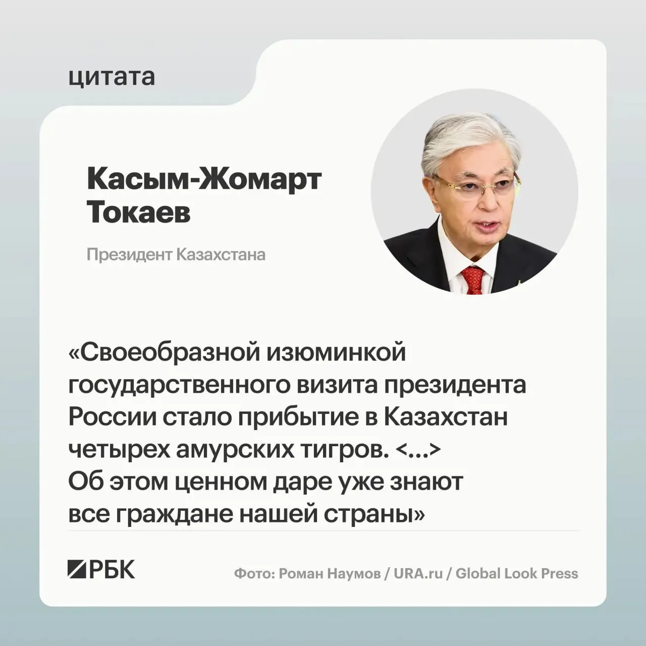 Президентам России и Казахстана показали презентацию о тиграх, переданных в Астану — животные направлены на помощь в восстановлении вида в республике.