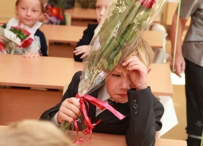 Замглавы Минпросвещения Владимир Желонкин сообщил, что 11 лет — оптимальная продолжительность школы; планов по сокращению или увеличению сроков сейчас нет, а все стандарты будут разрабатываться с учётом 11 классов.