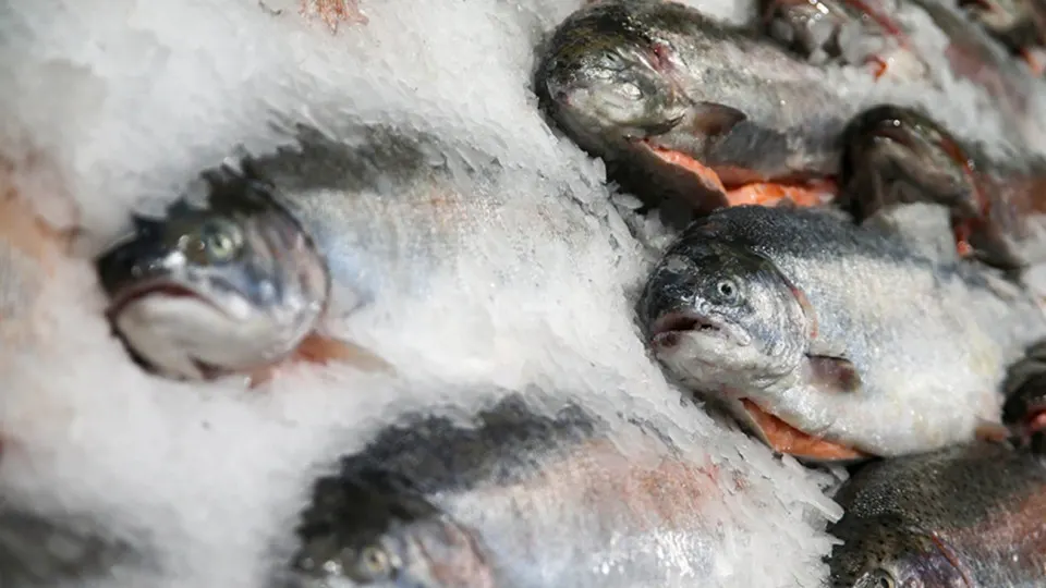Россельхознадзор приостановил сертификацию продукции двух армянских производителей и запретил их ввоз в Россию на фоне победы партии Никола Пашиняна и расширяющейся финансовой помощи Еревану со стороны ЕС.