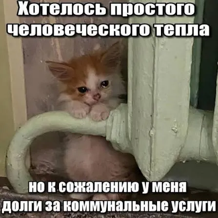 Суд подтвердил, что по истёкшему трёхлетнему сроку исковой давности требования о взыскании взносов на капитальный ремонт не подлежат принудительному исполнению и не должны попадать в платежки.