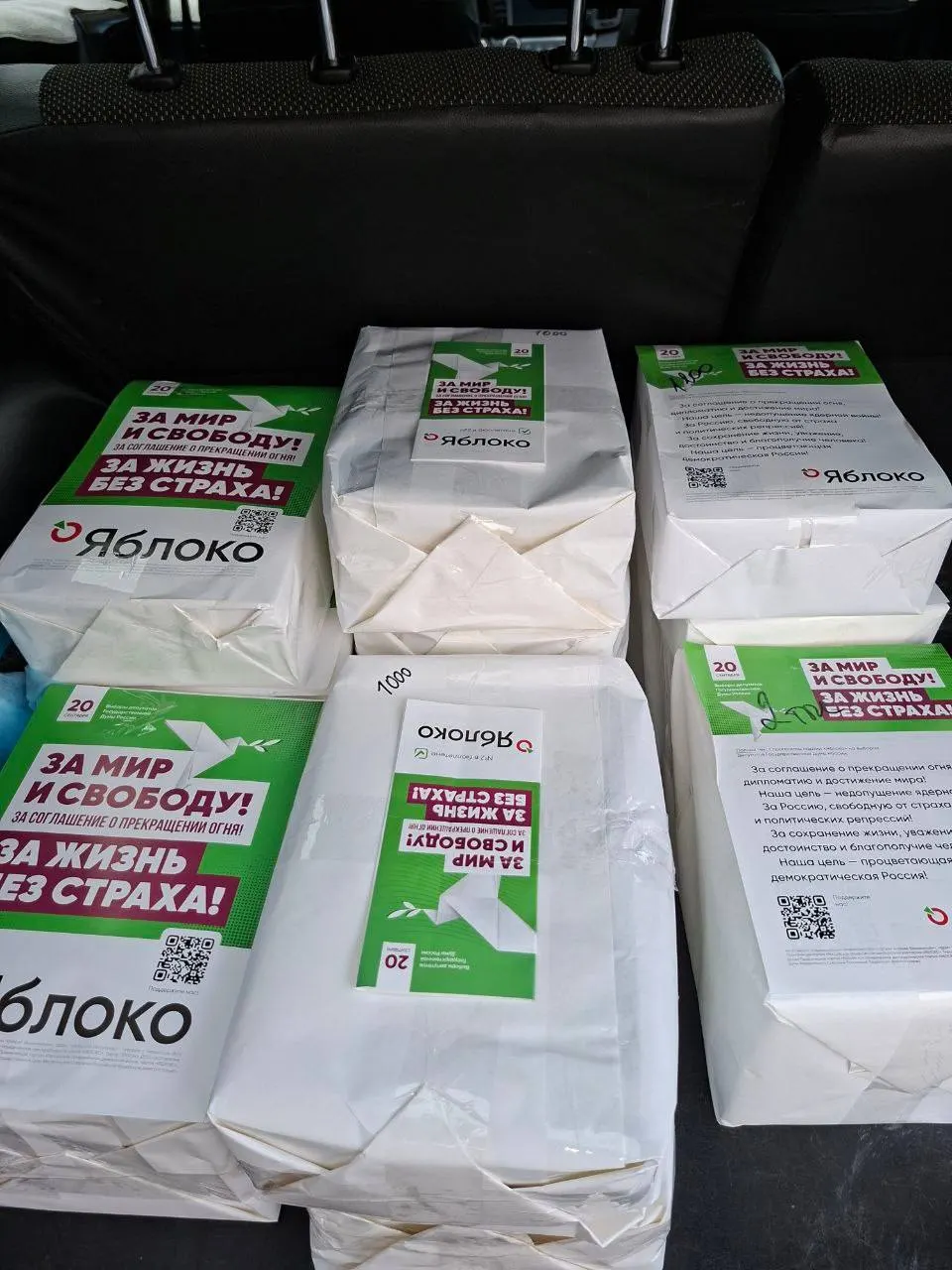 Региональная кампания партии «Яблоко» в Чувашии продолжает набор волонтёров и сбор средств. Желающим помочь предлагают распространение агитационных материалов и участие в мероприятиях в рамках закона.