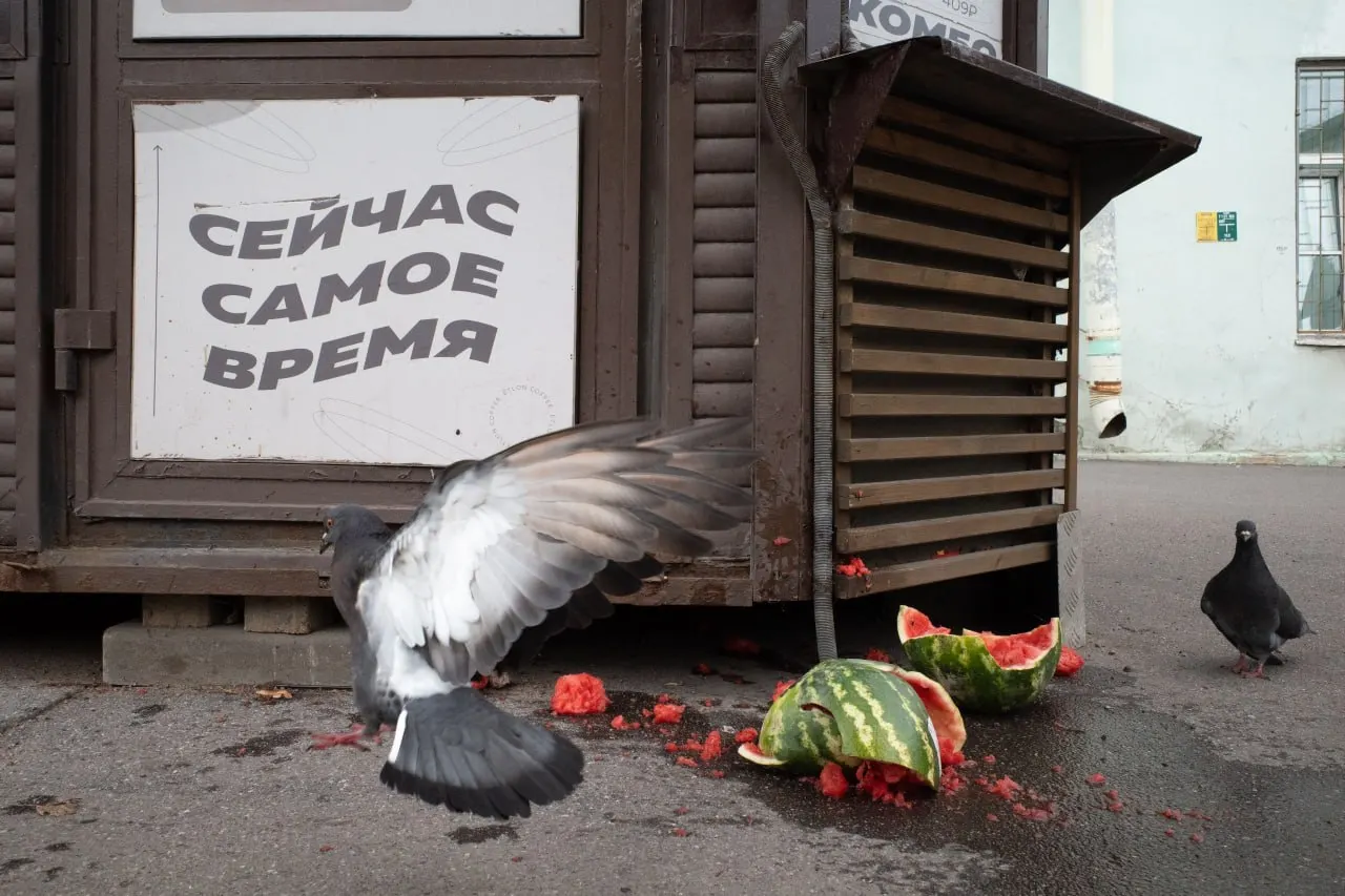 События в Петербурге и Ленобласти, а также политические новости в России и мире: штраф за антивоенную позицию, выборы и кадровые перестановки.