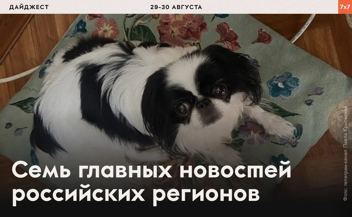 Сводка заметок о событиях недели: давление на активистов, запреты на застройку и инциденты в разных регионах.