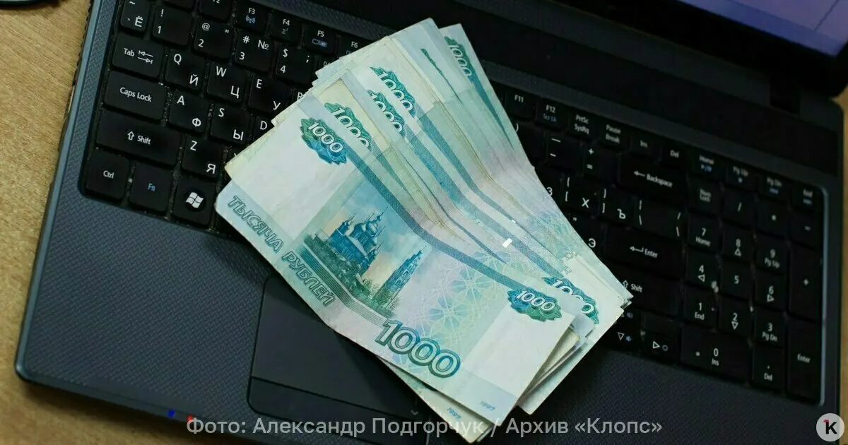 Экономические аспекты: долговечность, защита от подделок и возможное сокращение расходов бюджета за счет реже требующегося перевыпуска.