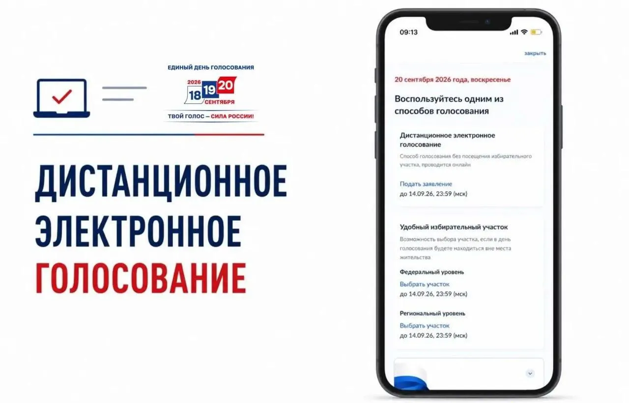 Критики выражают озабоченность прозрачностью дистанционного электронного голосования и рисками манипуляций в рамках подготовки к выборам.