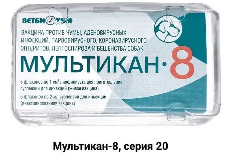 Владельцы собак требуют прозрачности вокруг гибели питомцев после прививки «Мультикан-8», зафиксированной в нескольких регионах, и независимого анализа причин.