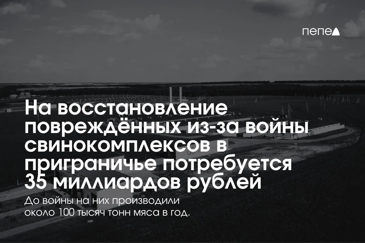После атак и обстрелов в Белгородской, Курской и Брянской областях планируемые расходы на восстановление свиноферм оцениваются в 35 млрд рублей; Белгородская область обеспечивает значительную долю выпуска свинины, в регионе сохраняются проблемы.